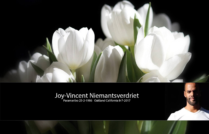Joy Vincent